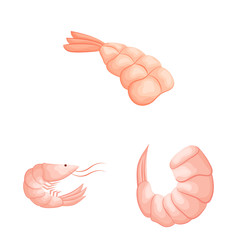 Vector illustration of shrimp and crab logo. Set of shrimp and sea stock vector illustration.