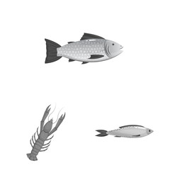 Isolated object of seafood and healthy symbol. Collection of seafood and ocean stock symbol for web.