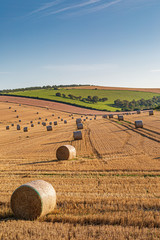 A summer landscape in the South Downs in Sussex, with hay bales in a newly harvested field