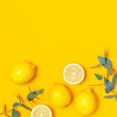 Ripe juicy lemons and green eucalyptus twigs on bright yellow background. Lemon fruit, citrus minimal concept. Creative summer food minimalistic background. Flat lay, top view, copy space. Square