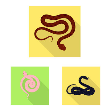 Vector design of skin and reptile logo. Set of skin and danger stock vector illustration.
