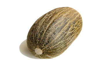 ripe ellipsoid yellow, green fragrant melon, isolate, photograph, close-up, copy space
