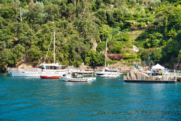 Fototapeta na wymiar Portofino, Italy - AUGUST 15, 2019: Portofino harbor with yachts and nature of the Ligurian coast / popular European resort / ideal vacation