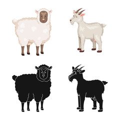 Vector design of breeding and kitchen sign. Set of breeding and organic stock symbol for web.