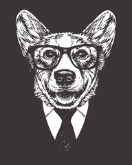 Portrait of Pembroke Welsh Corgi in suit, hand-drawn illustration. Vector