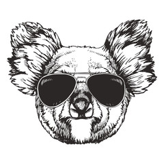 Portrait of Koala with sunglasses. Hand-drawn illustration. Vector. © Victoria Novak