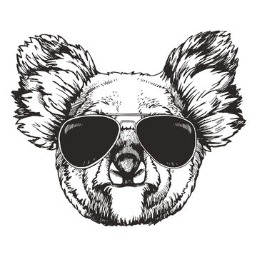 Portrait of Koala with sunglasses. Hand-drawn illustration. Vector.