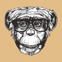 Portrait of Monkey with glassses. Hand-drawn illustration. Vector