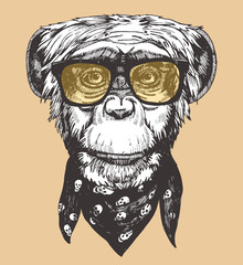 Portrait of Monkey with sunglasses and scarf. Hand-drawn illustration. Vector
