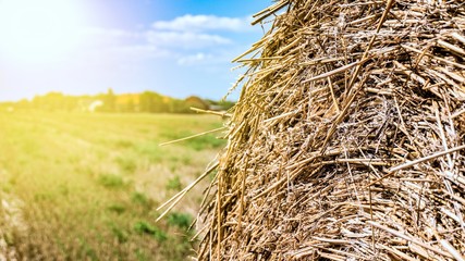 Straw wrapped in a circle . Agricultural  . sunny, hot weather .