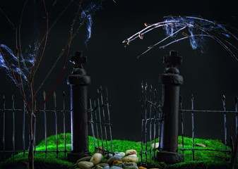 old gate to the garden