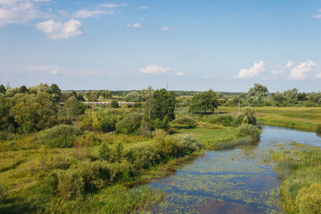 View of a picturesque landscape with a river. Landscape overlooking the riverbed. Overgrown shores