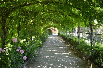 Giardini bidoli firenze
