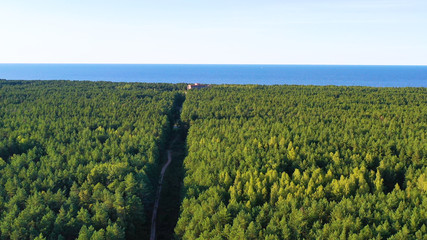 Tower of power lines in the forest. Electric tower line in Landscape view with Electricity and...