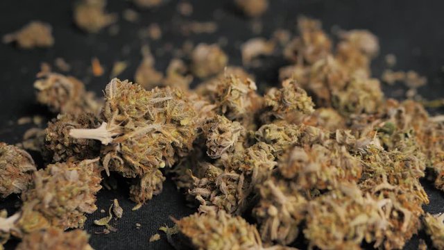Medical cannabis, Jar of dried and treated marijuana buds ,medical odorous cannabis from the fridge. Close up in coffeeshop