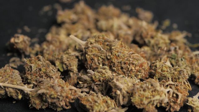 Medical cannabis, Jar of dried and treated marijuana buds ,medical odorous cannabis from the fridge. Close up in coffeeshop