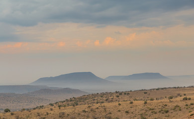 Naklejka premium Evening light over Mountain Zebra Park in South Africa