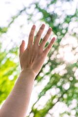 Summer green leaves background with woman hand. Concept