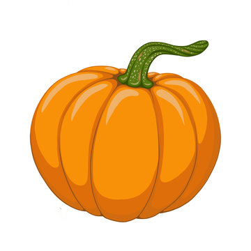 Cartoon pumpkin illustration. Object isolated on white background. Symbol of fall season. Hand drawn element for design autumn poster, frame, greeting card, pattern, invitation.