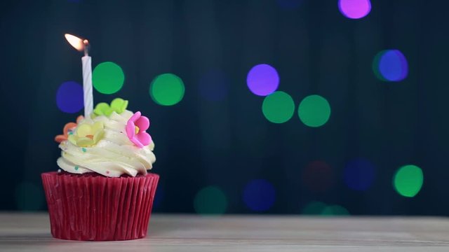 Birthday cupcake with a single blue candle.Cupcake with yellow cream and heart for love valentines. Green flower cupcakes with cream cheese frosting and a red heart. Beautiful and delicious cupcake.