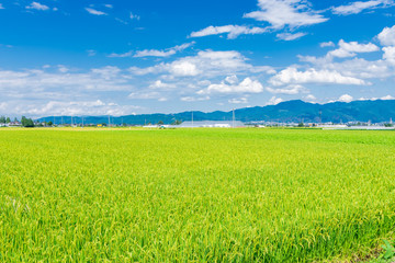 田園風景　松本市