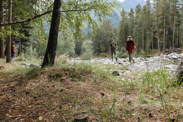 3 tourists found a clearing in the forest