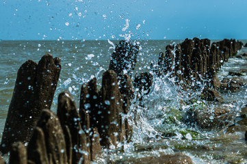 A sea wave with many drops in the sunny summer day