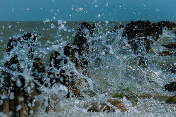 A sea wave with many drops in the sunny summer day