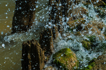 A sea wave with many drops in the sunny summer day
