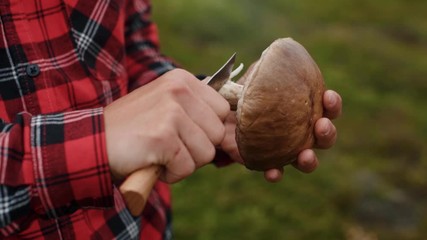 Hiker cleans wild mushrooms for dinner