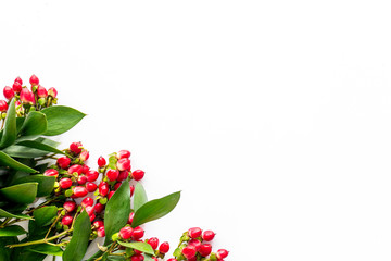 Background for blog with green plant and berries frame on white background top view space for text