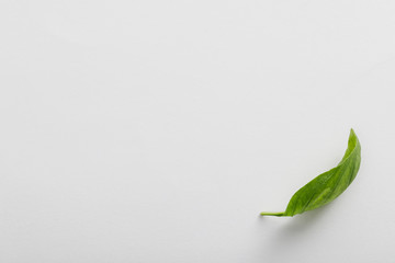 Top view of fresh fragrant basil leaf on white background