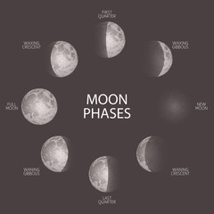 Moon phases sketch vector illustration. Hand drawn poster with cycle from fuul to new moon