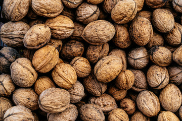 Lots of walnuts like as background