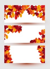 Set of three banners with colorful autumn leaves