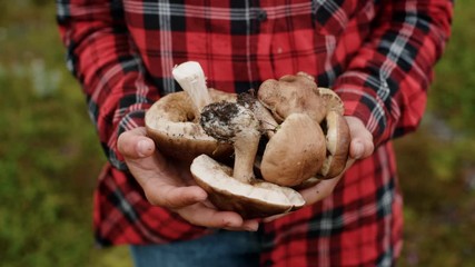 Young woman holds wild mushrooms in hands