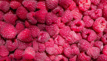 bright juicy tasty berry raspberries, from diseases and colds, raspberry jam to eat in winter for immunity