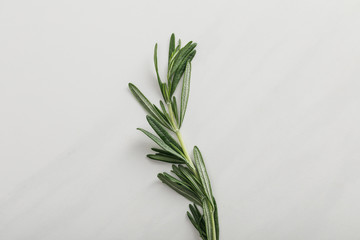 Top view of fresh rosemary twig on white background