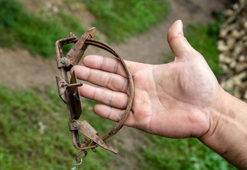 hand in an old iron trap