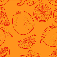 Vector Seamless Pattern of Sketch Oranges