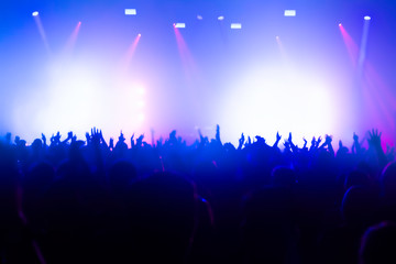 Fototapeta na wymiar crowd of people dancing at rock concert