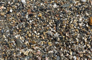 Rocas de agua en la orilla de la playa