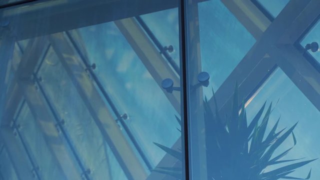 Showcase of a Modern Building with Palm Tree Inside. Glass Curtain Facade Wall. Fasteners Elements of Spider Glass System. Facade Detail. Tilt Up