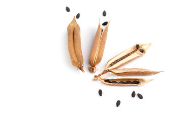 Raw Black Sesame seeds and dry pod on isolated white background.