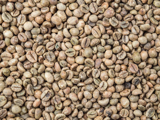 Fototapeta premium Close up raw coffee bean organic pile nature background.