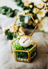 Glass casket with wedding rings inside