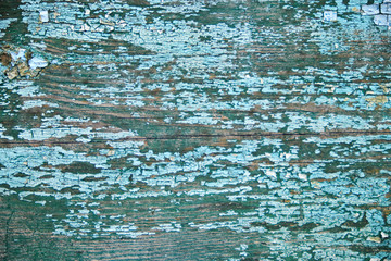 Brown wood texture. Abstract background, empty template