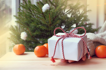 hand with a gift on the background of an evergreen Christmas tree and tangerines on a table by the window. holiday surprise for Christmas