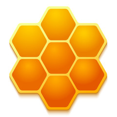 Realistic honeycomb with shadow on a white background.