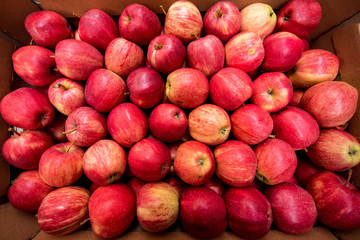 A large number of red apples. Texture.